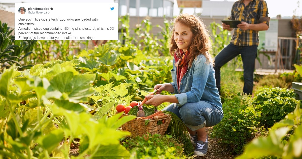 Veganka koja na bizaran način želi otjerati ljude od mesa razbjesnila internet